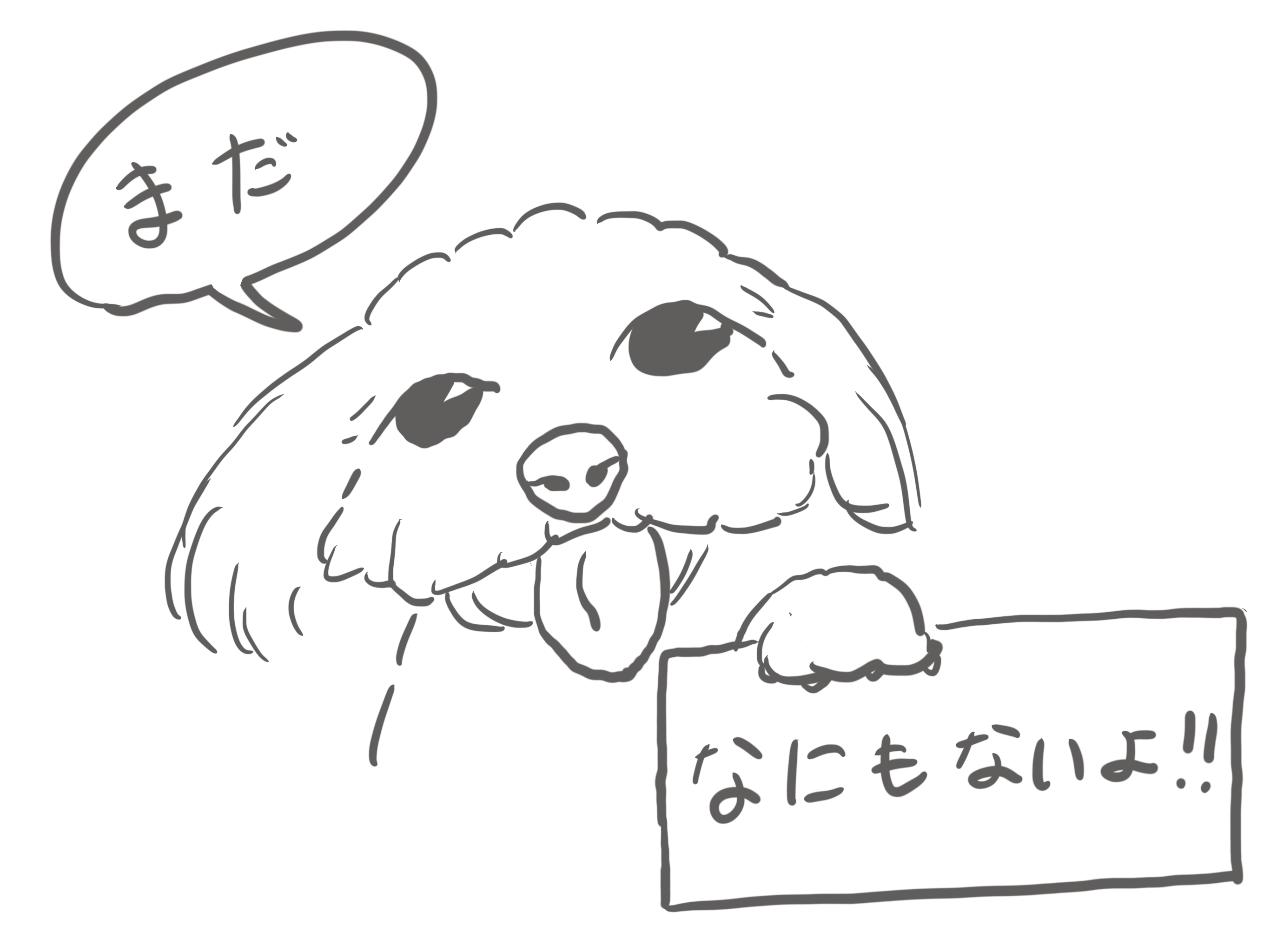 まだなにもないよ